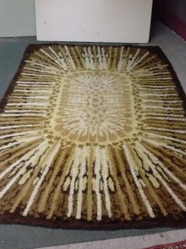 Mid Century Modern shag rug