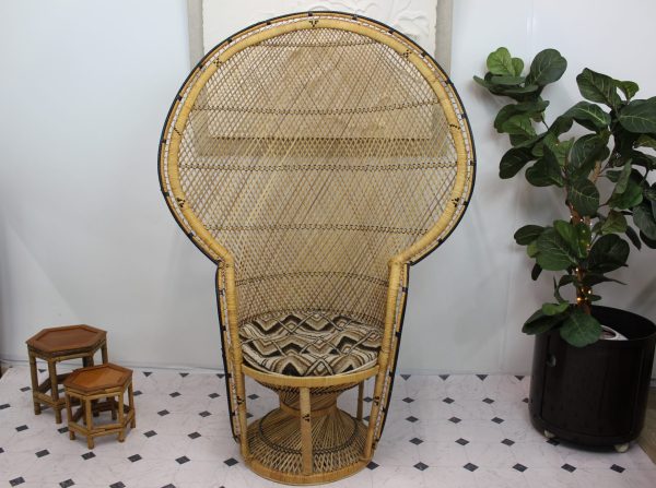 Peacock chair Mid Century Modern |